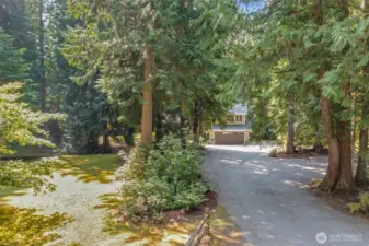 As you turn into the long driveway, the home comes into view through a canopy of mature trees. This serene setting provides both privacy and a natural retreat while still keeping you close to all the conveniences of the Sammamish Plateau.