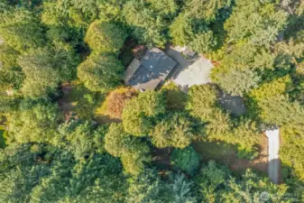 An aerial perspective showcases the expansive 52,707 sq ft lot, with the home tucked into a canopy of evergreens. This bird’s-eye view highlights the private, park-like setting on the Sammamish Plateau.