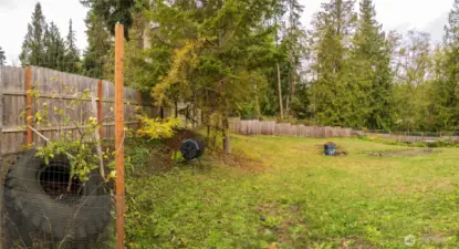 Yard space - fully fenced