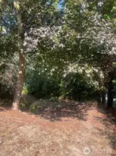 South property line on Woods Ct