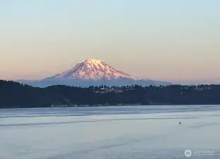 Great views of Mt Rainier
