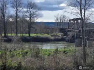 The View From The Back Balcony