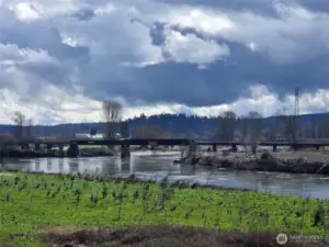 The View Looking East