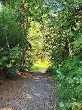 Continue straight; bridge to Maple Creek Park on right