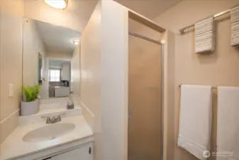 Bathroom on Lower Level.