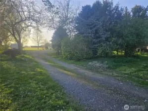 Driveway to House #1