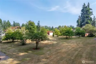 Pick fresh fruit off you very own property!