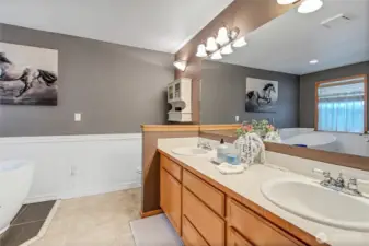 Primary bathroom with double sinks