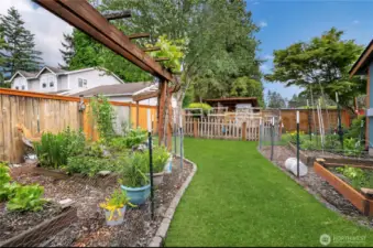 Gardens on the side yard