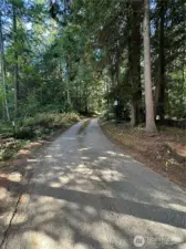 Driveway coming into the property.