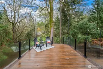 Two-level composite deck for entertaining and low maintenance.  Feels like your treehouse getaway, just off the dining room