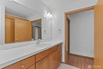 Hall bathroom offers a deep tub/shower combo and plenty of counter space.