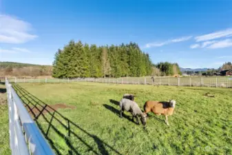 The property includes a versatile outdoor arena, ideal for training activities or use as additional holding space for animals. This multi-functional area adds to the property's adaptability, catering to a variety of needs