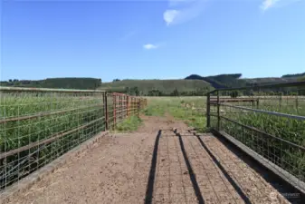 The bridge over the creek is designed to accommodate farm equipment, making it easy to access fields for crops or hay. This practical feature ensures seamless operation and movement of animals and equipmnet across the property for all your farming needs