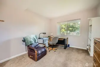Lower Level Bedroom