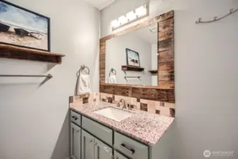Lower Level Bathroom