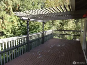 Large deck off family room. Nice!