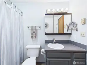 Primary Bathroom Upper Level