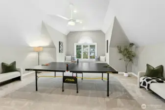 Huge gaming room (2nd bonus room).