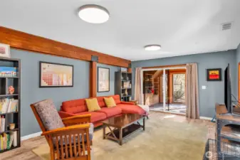 1438 Ann St NE - Lower Level Living Room