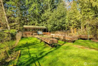 1438 Ann St NE - Orchard/Garden