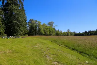 Driving Path down to Point Camp 2. Open Area 1/ Camp 1 is to the Left and Open Field is to the right. Points are estmated on Pictures. Stakes are present to show points and lines.