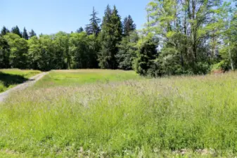 Open Area 1. Would be a great area to either build or make a RV area. Points are estmated on Pictures. Stakes are present to show points and lines.