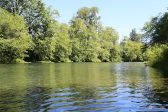 Across the river (AR). Points are estmated on Pictures. Stakes are present to show points and lines.