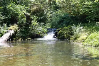 Britton Creek Waterfall (Pt. J on the Map). Points are estmated on Pictures. Stakes are present to show points and lines.