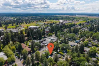 PLU campus in the background.
