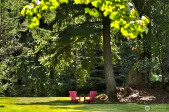 Enjoy plenty of open space on the wide lawn, ideal for lawn games, picnics, or playtime—all shaded by a majestic canopy of evergreen trees that offers natural beauty and cool comfort on sunny days.