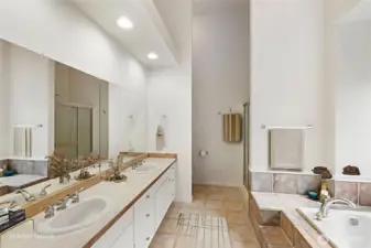 Large Primary Bath