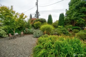 With a private front garden of drought resistant, established plantings, this home is on an iconic Olympia street - desired for its proximity to schools, greenspace and a green grocer not too far away!