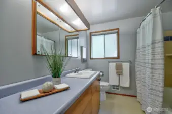 Hall bathroom is updated while still evoking the era - original vanity base matches the kitchen cabinets.