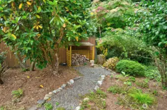 Backyard features established and unique trees plus a wood shed...