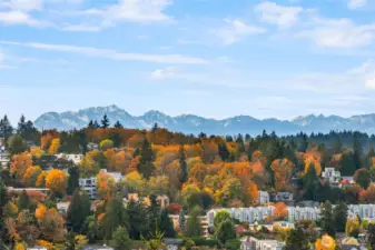 Views from the living room and deck!