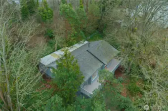 The greenery you see from above is what you live in every day.