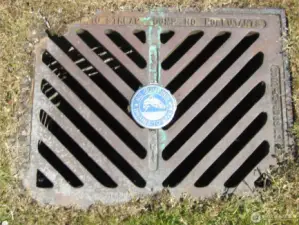 storm drain
