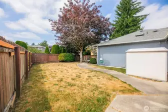 Large Side Yard