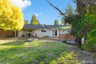 Upper portion of back yard
