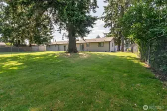 ~ Duplex Built in 1990 w/Many Just Completed Enhancements.  Duplex sits on nearly half acre lot w/ 19,776 SQ. FT. Ideally located just minutes from Joint Base Lewis McChord & Pacific Lutheran University. Perfect for first-time home buyer ~ Live in one unit and rent out the other ~ Or a Multi-Generational Living Residence.  Duplex features two separate units ~ Each Unit with their own private entrances, individual attached oversized garages w/washer & dryer hookups, and separate utilities. Both units nicely updated, move-in ready, & professionally cleaned! NO HOA Dues!