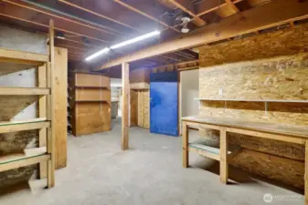 Lower cellar