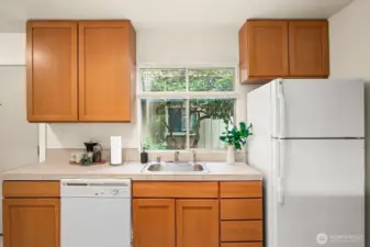 plenty of windows in the unit