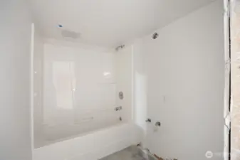 Basement Bathroom