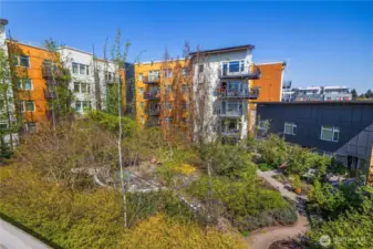 Commuinity Courtyard