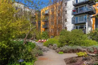 Community Courtyard