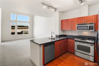 Open Concept Living Room and Kitchen