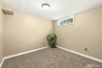 Bedroom #5 - lower level