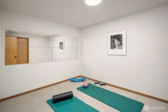 Extra finished room could be exercise room or extra office space. Good closet too.