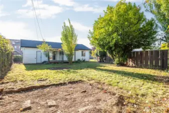 Fenced Back Yard